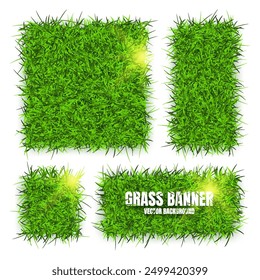 Green grass banners, background. Field, meadow texture, grassy landscape. Organic, bio, eco and natural lifestyle design elements. Ecology and environment protection. Vector illustration