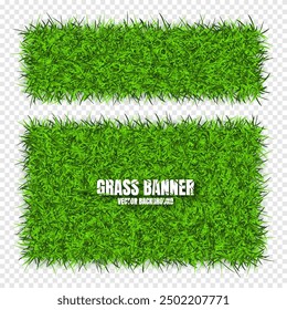 Green grass banners, background. Field, meadow texture, grassy landscape. Organic, bio, eco and natural lifestyle design elements. Ecology and environment protection. Vector illustration