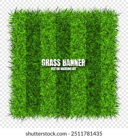 Green grass banners, background. Field, meadow texture, grassy landscape. Football playing pitch, soccer field. Sports ground, stadium. Ecology and environment protection. Vector illustration