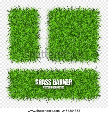 Green grass banners, background. Field, meadow texture, grassy landscape. Organic, bio, eco and natural lifestyle design elements. Ecology and environment protection. Vector illustration