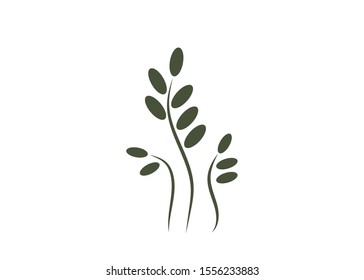 Green grass (beans, coffee, sprout). Gazon. Vector icon. web version.