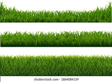 Green Grass Big Set Isolated White Background, Vector Illustration