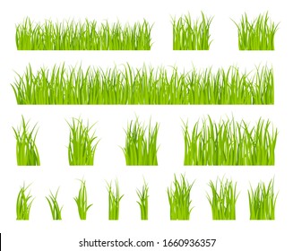 Green grass. Bio lawn pattern, herbal summer border. Isolated fields, spring season horizontal garden elements. Organic plant vector set