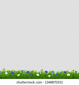 Green Grass With Blue Flowers Transparent Background With Gradient Mesh, Vector Illustration
 
