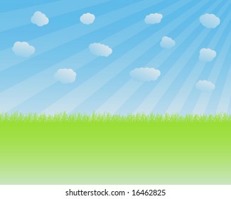 green grass and blue sky