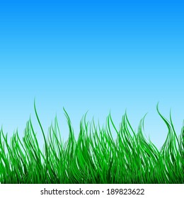Green grass and a blue sky