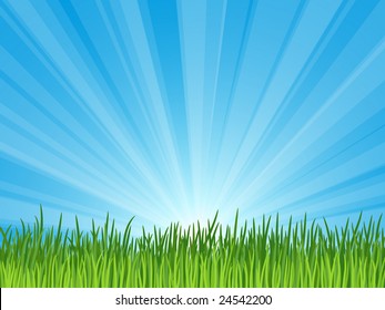 Green grass and blue sky
