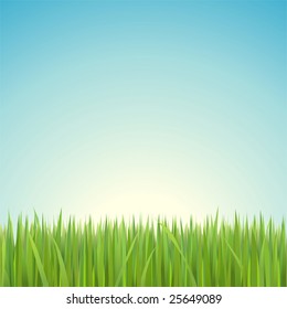 Green Grass, Blue Sky