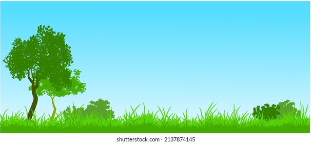 green grass and blue sky background