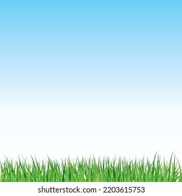 Green grass with blue sky background. Vector illustration.