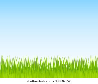 Green Grass And Blue Sky Background. Spring Nature Background For Your Design. Vector