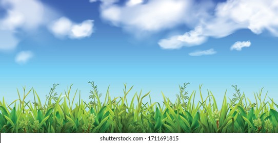 Green grass and blue sky with clouds background realistic vector illustration
