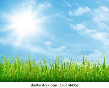 hierba verde y cielo azul con nubes. Fondo natural de verano. Ilustración del vector