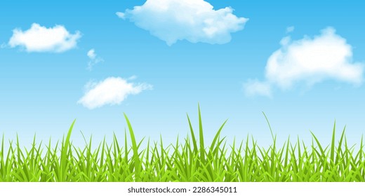hierba verde y cielo azul con espacio para texto