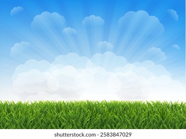 Green Grass With Blue Sky With Gradient Mesh, Vector Illustration