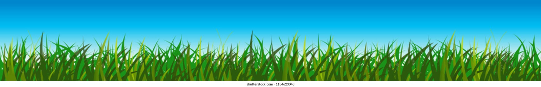 Green grass and blue sky, nature background - stock vector