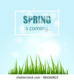 Green grass and blue sky, spring illustration