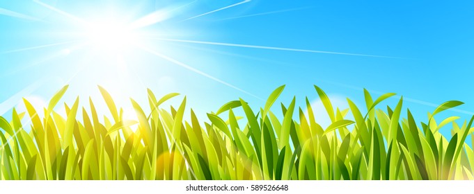 Grünes Gras und blauer Himmel mit Sonne. Vektorgrafik