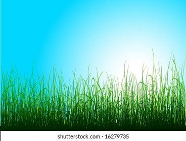 Green grass and blue sky - vector