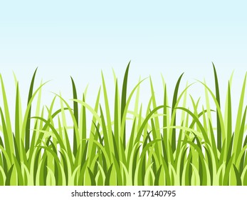 Green grass and blue sky. Vector illustration