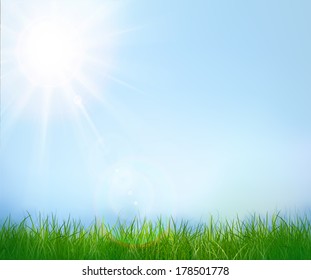 Green grass and blue sky. Vector