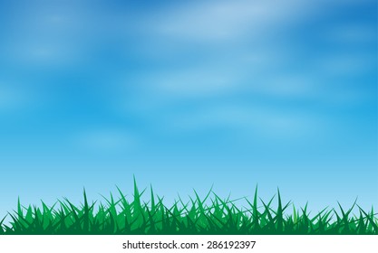 Green grass in a blue sky vector illustration