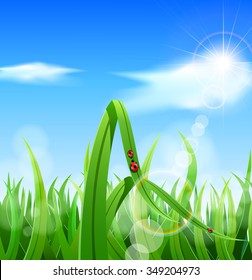 Green grass and blue sky. Vector