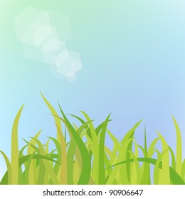green grass and blue sky. vector