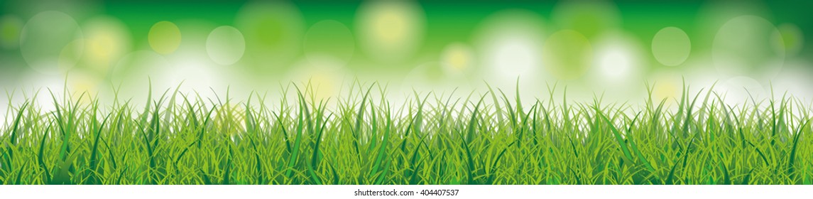Green grass with bokeh lights on the green background. Eps 10 vector file.