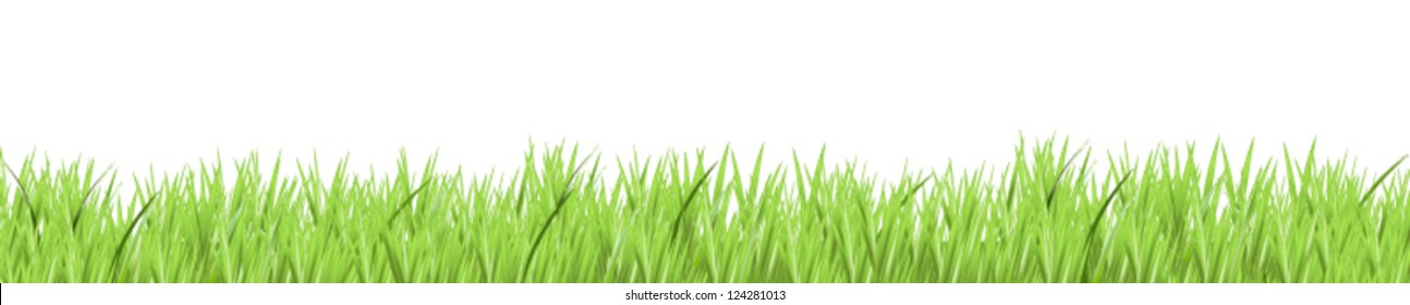 Green Grass Border