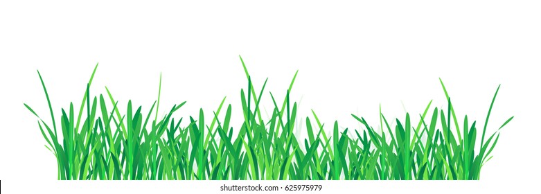 Green Grass Border. 