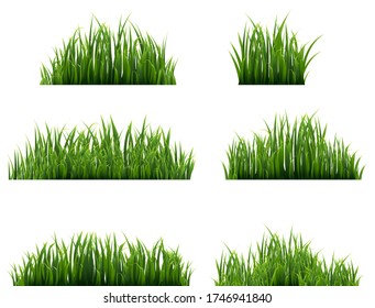 Green Grass Border Big Set White Background, Vector Illustration