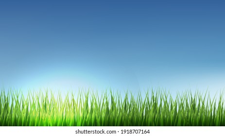 Green Grass Border With Blue Sky With Gradient Mesh, Vector Illustration