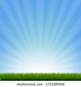Green Grass Border With Blue Sunburst With Gradient Mesh, Vector Illustration