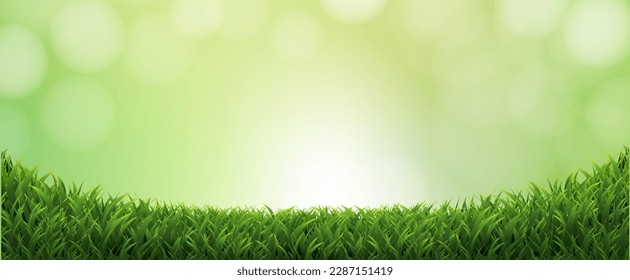 Grüne Grasgrenze mit Bokeh und unscharfem Hintergrund, Vektorgrafik