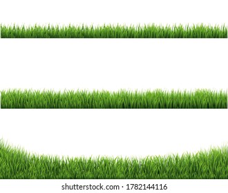 Grüne Grasgrundiollektion und weißer Hintergrund mit Farbverlauf-Mesh, Vektorgrafik