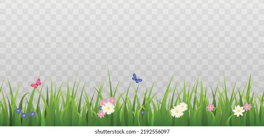 Green grass border with cute colorful flowers and butterflies flat style, vector illustration on transparent background. Decorative design element for field or lawn landscape
