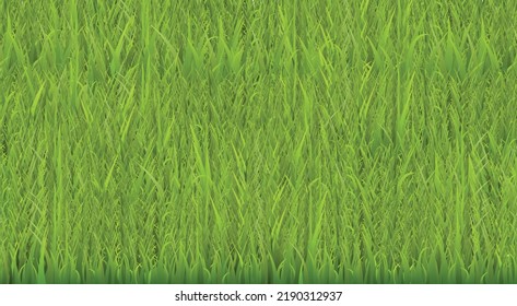 Green grass border flat style, vector illustration. Decorative design element for background, wallpaper, nature. Fresh organic herbs, plant of meadow or lawn