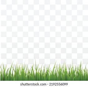 Green grass border flat style, vector illustration on transparent background. Fresh organic natural herbs, decorative design element for landscape, meadow or field