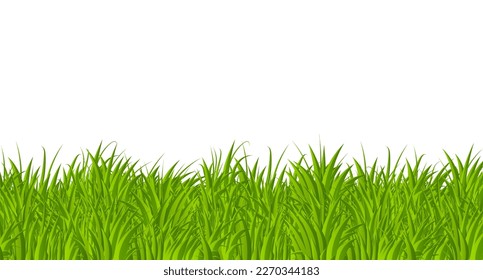 Green grass border flat style design. Cartoon summer green grass nature landscape field. Vector illustration
