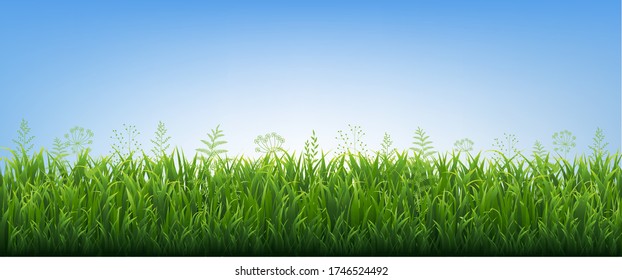 Grüne Grasgrenze mit Blumen blauer Hintergrund mit glänzendem Mesh, Vector Illustration