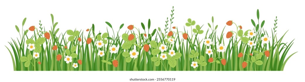 Green grass border with flowers and wild strawberries, meadow herb and grass, vector illustration
