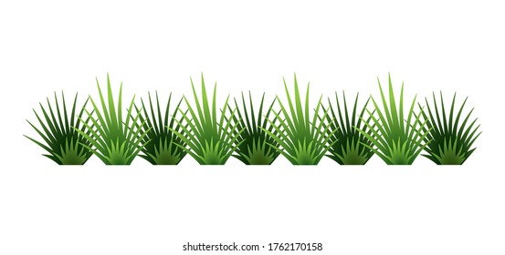 Green grass border. Fresh green brush grass. Isolated on transparent background. Vector Illustration for use as design element