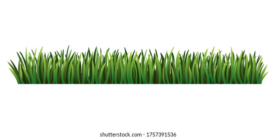 Green grass border. Fresh green grass. Isolated on transparent background. Vector Illustration for use as design element