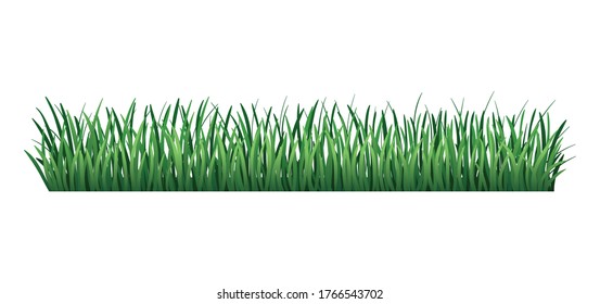 Green grass border. Fresh green grass. Isolated on transparent background. Vector Illustration for use as design element