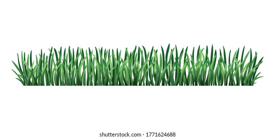 Grüne Grasgrenze. Frisch grünes Gras. Einzeln auf transparentem Hintergrund. Vektorgrafik zur Verwendung als Design-Element