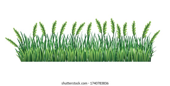 Green grass border. Fresh green spikelet and branches grass leaves. Isolated on transparent background. Vector Illustration for use as design element