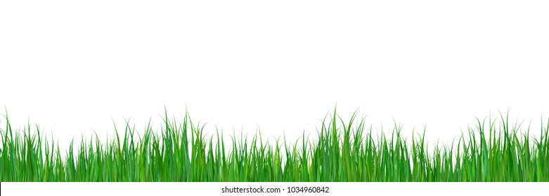 Green grass border gradient color texture isolated on white background. Seamless pattern. March, april, may abstract herbal floor vector illustration. Park, yard, garden natural landscape decoration