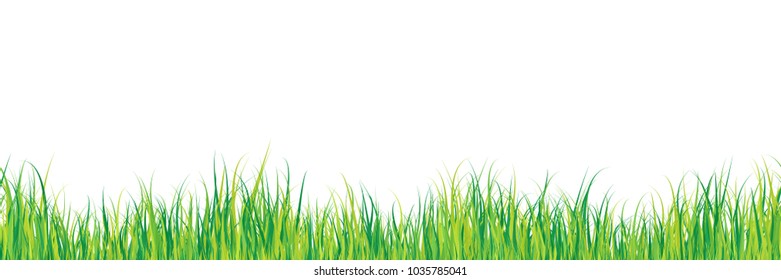 Green grass border gradient color texture isolated on white background. Seamless pattern. March, april, may abstract herbal floor vector illustration. Park, yard, garden natural landscape decoration