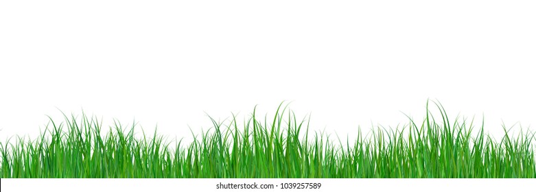 Green grass border gradient color texture isolated on white background. Seamless pattern. March, april, may abstract herbal floor vector illustration. Park, yard, garden natural landscape decoration